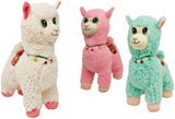 Lama - Alpaca