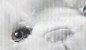 Preview: 93875